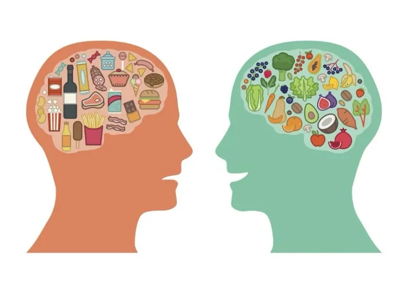 Ilustratie alimentatie